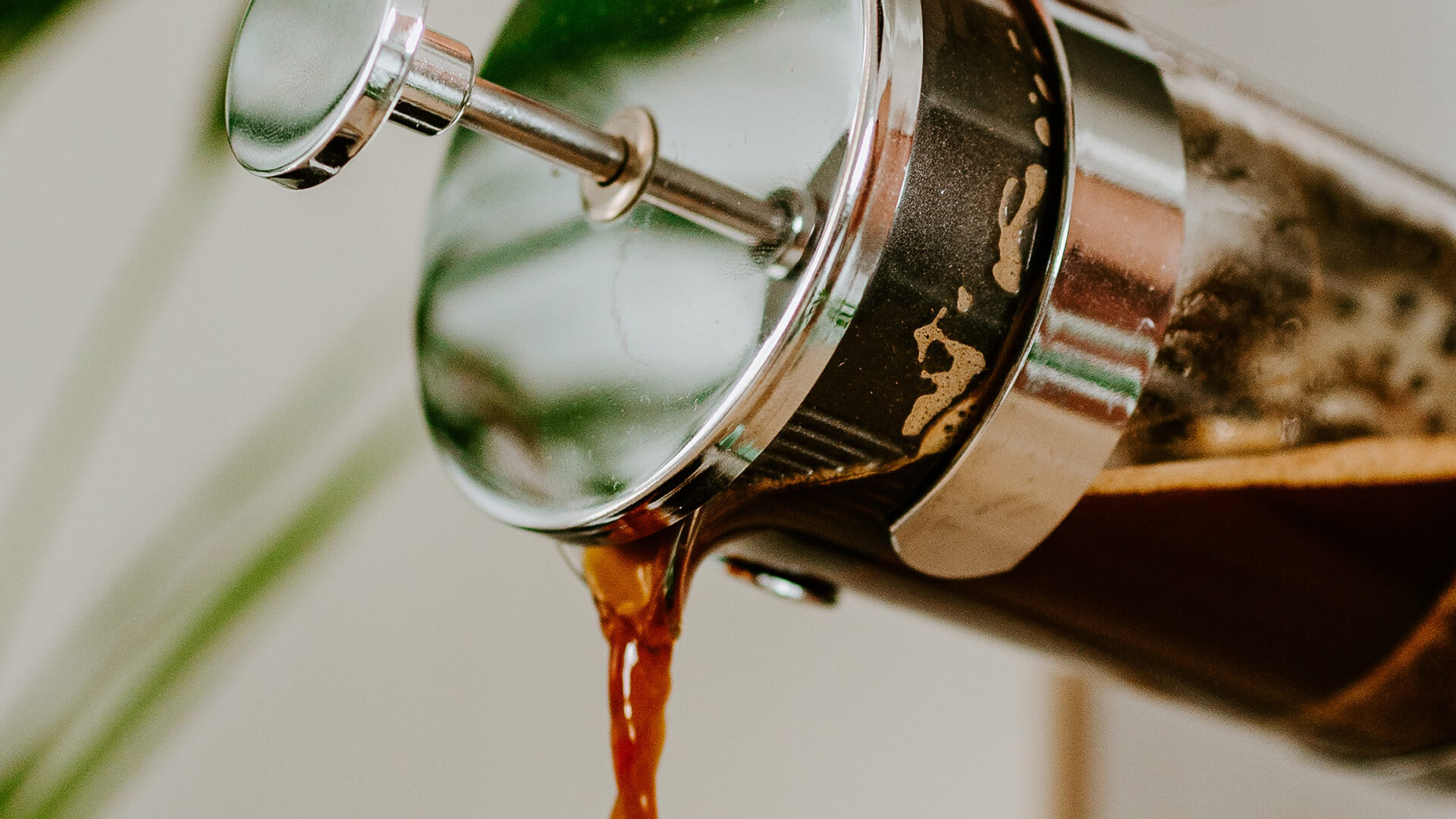 French Press Nedir, Nasıl Kullanılır? French Press Kahve Yapımı